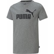 588982 [ESS ロゴ Tシャツ 03 MEDIUM GRAY H 150]