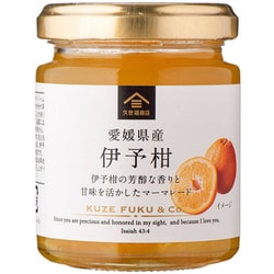 愛媛県産 伊予柑 115g