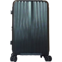 spark II 拡張型 19インチ 機内持ち込み 41Lサイズ 338-2501
