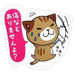 MMC-6 [マメマメCAT 傷など ありませんよ？ステッカー]