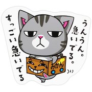 MMC-9 [マメマメCAT うんうん急いでいる ステッカー]