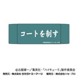 ハイキュー！！ ヘアバンド 02. 青葉城西高校