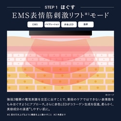 アンファー　ディズム　BOT-2310 アンファー 美顔器 ディズム EMS EER メディスキンケアデバイス