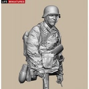 ヨドバシ.com - ライフミニチュア LIFE MINIATURES 通販【全品
