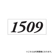 ナンバーシール F30BK 1001