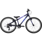 キッズ マウンテンバイク MARIN25 DONKY JR 24 6s LTD G.SPACE 24inch 変速段数6段