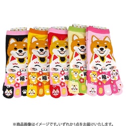 OG-109 [おもしろ5本指 柴犬と招き猫]