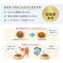 ヨドバシ.com - 森乳サンワールド Supergold おなかラボ シニア