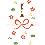 お年玉ぽち袋 水引巳 3枚入 VR500