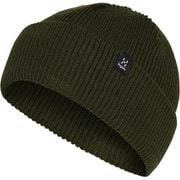 ヴァッシ ビーニー Vassi Beanie 606855 4Q9 Seaweed Green [ニットキャップ ビーニー]