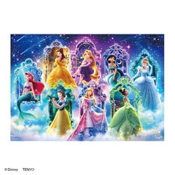 D1000-891 ディズニー 光るパズル Believing in Dreams ～夢を信じて～ [ジグソーパズル 1000ピース]