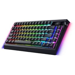 アウトローさん専用RAZER BLACKWIDOW Razer Razer BlackWidow Ultimate Stealth 2016 Blackwidow