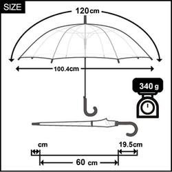 アンブレラ1。
F3号キャンバス GIN-ICHI(銀一) GP0084 ホワイトアンブレラ 84cm/33inch(84cm