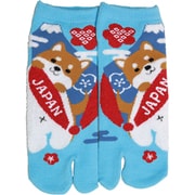 のびのびストレッチ足袋ソックス スニーカー丈 富士山と鼻緒に柴犬 小寸 足袋 18~24cm JR009T720Z34