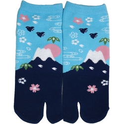 のびのびストレッチ足袋ソックス スニーカー丈 富士山 小寸 足袋 18～24cm JR015T720Z34