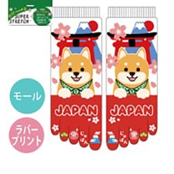 のびのびストレッチ5本指ソックス 柴犬と鳥居 大寸 五本指 24～30cm MR052T110Z35