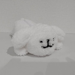 6041 Maltese ペンケース マルチーズ