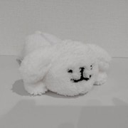 6041 Maltese ペンケース マルチーズ
