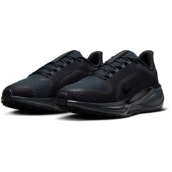 ヨドバシ.com - ナイキ NIKE ウィメンズ ペガサス 41 GORE-TEX