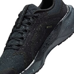 ☆送料無料☆ NIKE PEGASUS 41 GORE-TEX ペガサス ☆ NIKE公式】ナイキ ペガサス 41 GORE-TEX ウィメンズ 防水 ロード