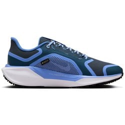 ヨドバシ.com - ナイキ NIKE ウィメンズ ペガサス 41 GORE-TEX
