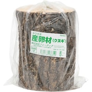 産卵木 クヌギ 太さ7.5~12cm
