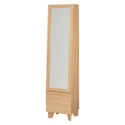 ミラー付き収納庫 幅38×奥行31×高さ160cm RD-1831NA