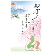 2025年 お年玉付き年賀はがき 富士山 3枚入 NO.3 FU03