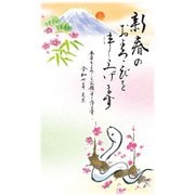 2025年 お年玉付き年賀はがき 富士山 3枚入 NO.6 FU06