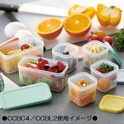 ヨドバシ.com - スケーター 作り置き小分け容器セット（角小4個