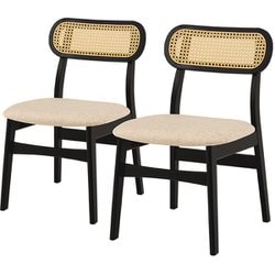 チェア2点セット 幅46.5×奥行54.5×高さ76×座面高42cm FL-8654BK-2S