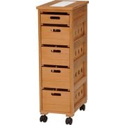 ストッカー 幅25×奥行40×高さ79cm MUD-6781NA