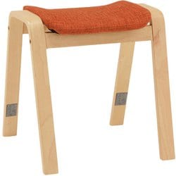 スタッキングスツール 幅43.5×奥行43.5×高さ45.5cm VH-7920OR-2