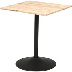 カフェテーブル 幅60×奥行60×高さ70cm LT-4919NA