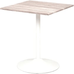 カフェテーブル 幅60×奥行60×高さ70cm LT-4919WH
