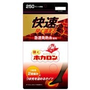 ホカロン つま先二重編みタイツ M-L ブラック TL2555