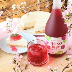 ヨドバシ.com - 合同酒精 TAN TAKA TAN SHISO梅酒 パック 12度