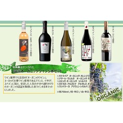 厳選オーガニックワイン 5本セット