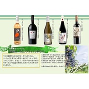厳選オーガニックワイン 5本セット