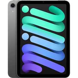 iPad mini （A17 Pro） 8.3インチ  Wi-Fi 512GB スペースグレイ MYGY3J/A