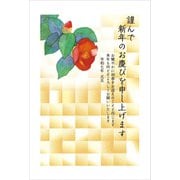 2025年 お年玉つき官製年賀はがき No.19 5枚入 2025-No.19