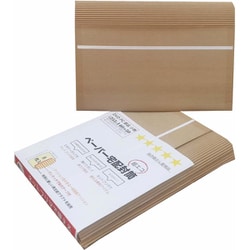ペーパー宅配封筒 DVDサイズ（片段） 255×140＋50mm 8枚入 00971005