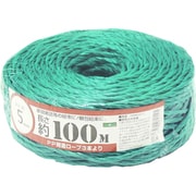 PP荷造りヨリロープ 5mm×100m 緑 00720017