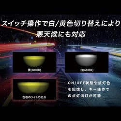 ヨドバシ.com - カエディア kaedear KDR-K10-W15 [Cyber LED