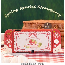 G-NSOLED-ST-SPB-RE-TZ [SwitchEL用 春のイチゴ 保護カバー]