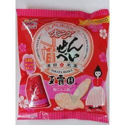 オランダせんべい梅こんぶ味 2枚×10袋