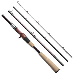 フィッシュマン BRIST COMPACT BC4 5.10H