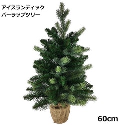 TF31646 [アイスランディック＋バーラップツリー 60cm]