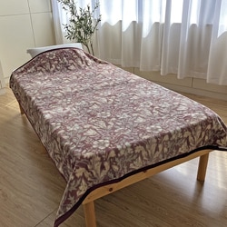 V＆A アクリル毛布（毛羽部分）D 180×210cm レッド 283054144800