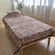 283054144800 [V＆A アクリル毛布（毛羽部分）D 180×210cm レッド]